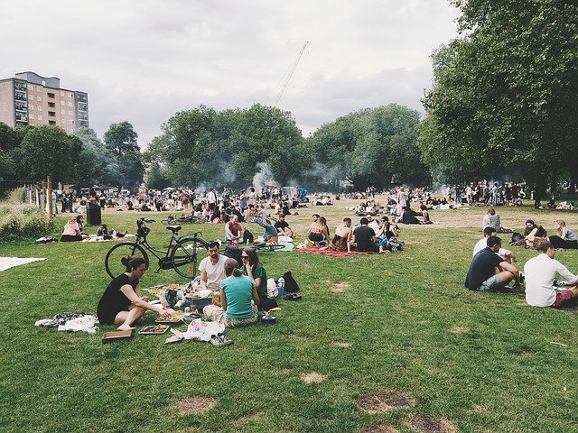 Company Picnic Ideas Everyone Will Love