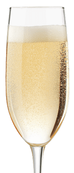 Champagne Glass Bubbles Rental