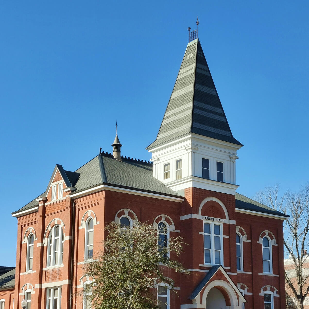 Auburn Party Rentals