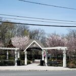 Event Planning Between Trenton and Hamilton: A Local's Guide