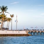 Jupiter Party Planning | Hurricane Season, Sea Turtles, & Boating Culture