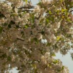 Guide to Party Planning in Traverse City & Petoskey