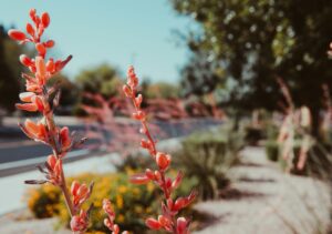 Roadside landscaping