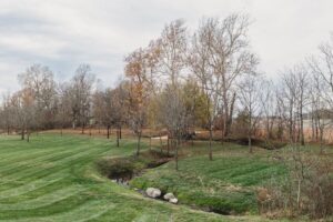A serene autumn landscape with bare trees and a small creek.