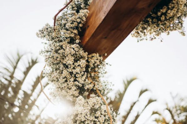 wedding rentals